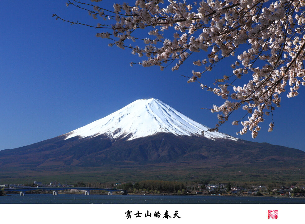 富士山的春天