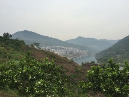 早起的鸟儿有虫吃