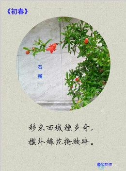 《初春》石榴~也争春