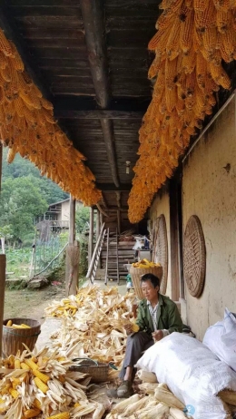 秋天！丰收的季节~
