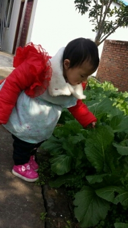 小朋友的童真。。。