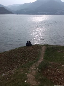 那是一个微风拂面，波光粼粼的下午。。。偶然拍到的。...