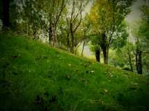 秋意来袭。。。