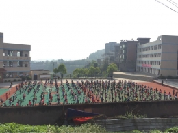 凤桥小学生强身健体