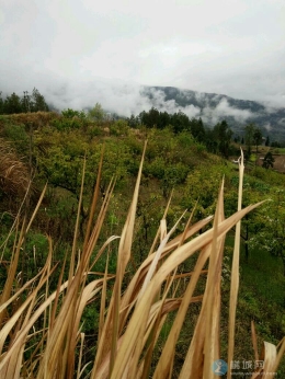 雨后山野田地间！
