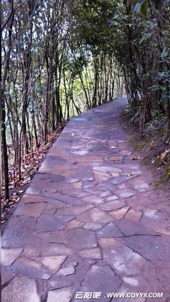 散步龙脊岭时随拍的《路》