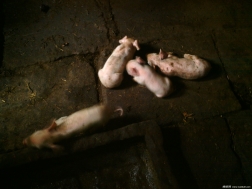 那些年，那些事，致我永恒的快乐老家