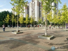 阳光明媚！！！