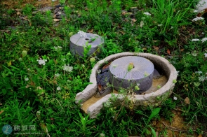 乡村遗弃的工具。