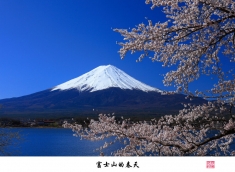 富士山的春天