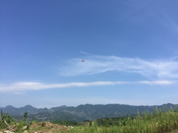 《云阳，你不知道的那些卡卡蝈蝈》