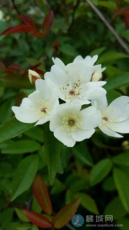 跑山上玩了半天