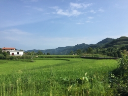 魅力云阳，美丽乡村凤鸣镇.太地村