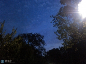 【随手拍】夜行