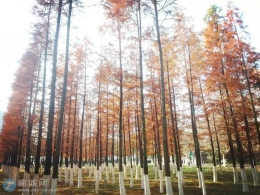 南京，一路走来