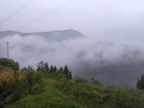 这个天农村空气很好！