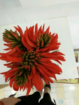 一个“恰”字了得！