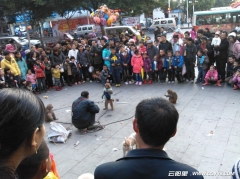 云阳爱家那里的逗猴人