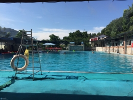 下午的九龙也是如此惬意