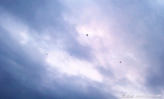 暴风雨前的云阳外滩天空