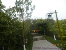 一月15号龙脊岭公园随拍